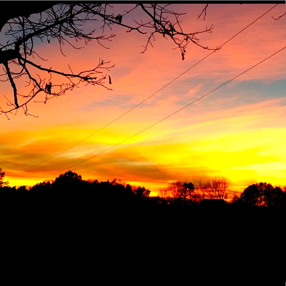 Meet your Posher, Whitney - Picture 4 of 13